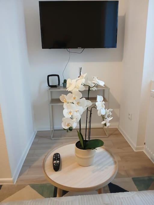 Appartement F1 Orchidee มูลูส ภายนอก รูปภาพ